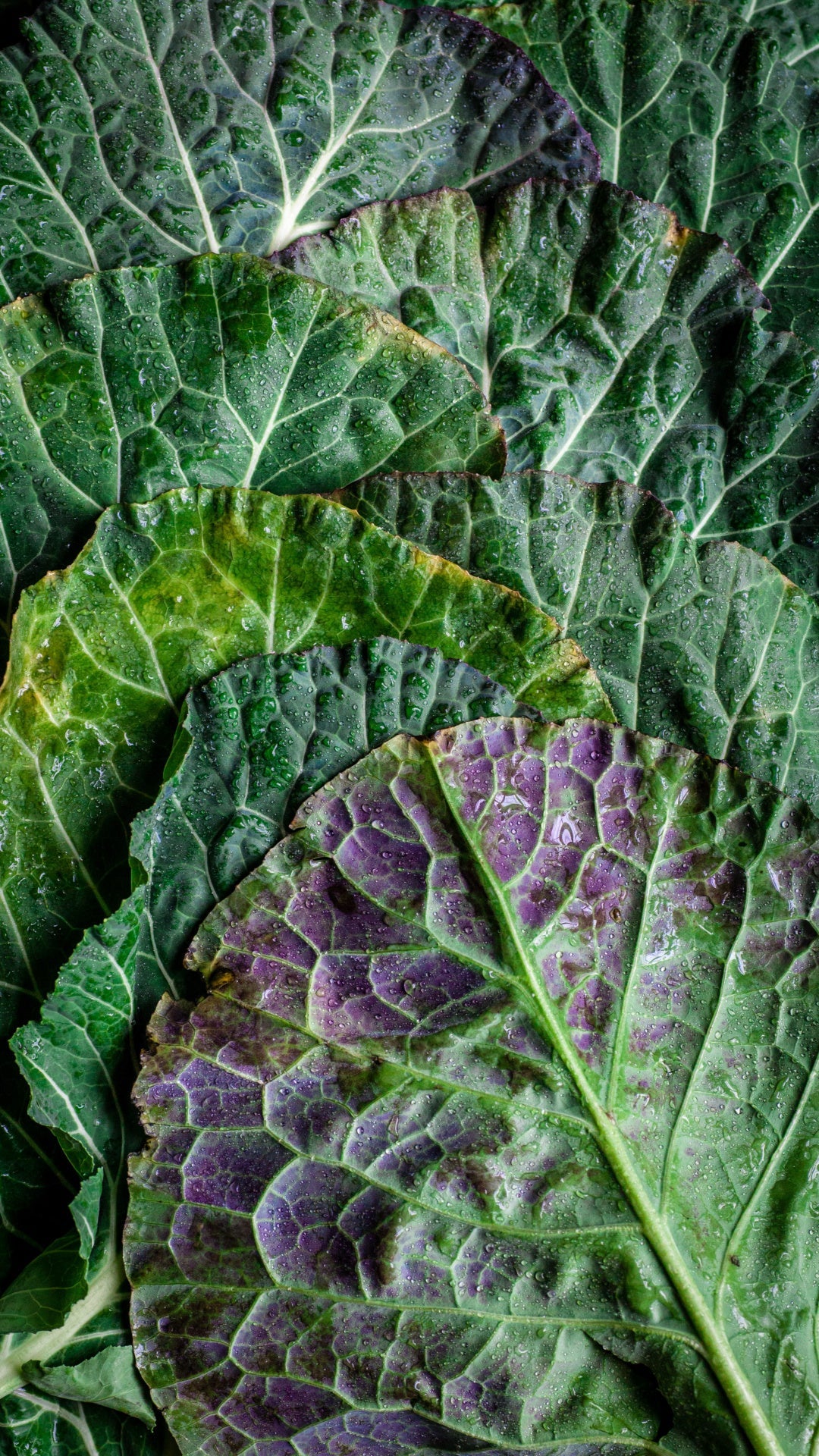 30 Days to Change Your Diet Sustainably: Step 1 - Vegetables, Berries and Fruit